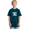 Tricou cu mânecă scurtă DC Star Filled pentru copii Tricou cu mânecă scurtă DC Star Filled pentru copii